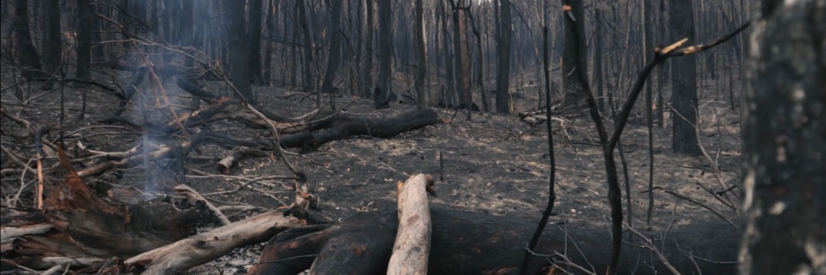 rewards4earth local causes bushfire