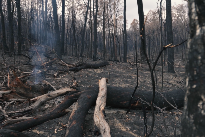 rewards4earth local causes bushfire